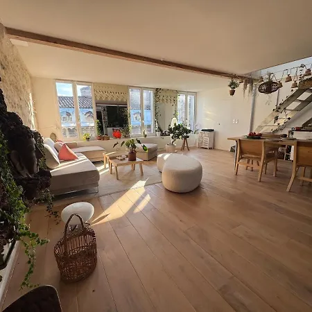Duplex With Terrace - Light & View בורדו