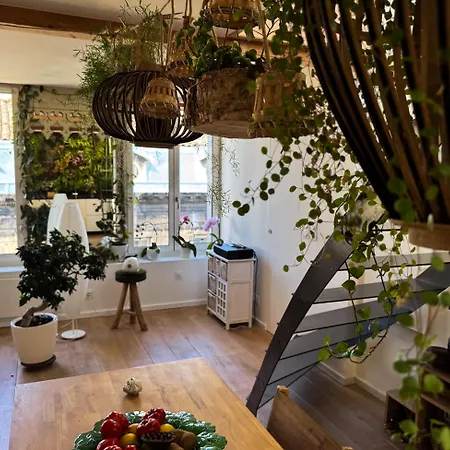 Duplex With Terrace - Light & View * ボルドー